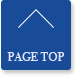 PAGE TOP